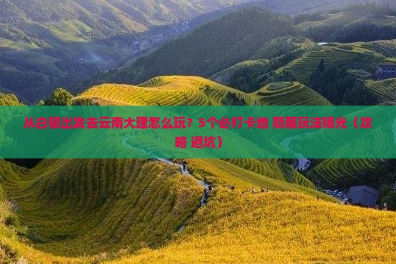 白银去云南大理哪里玩
