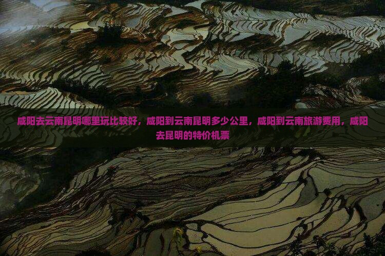咸阳去云南昆明哪里玩
