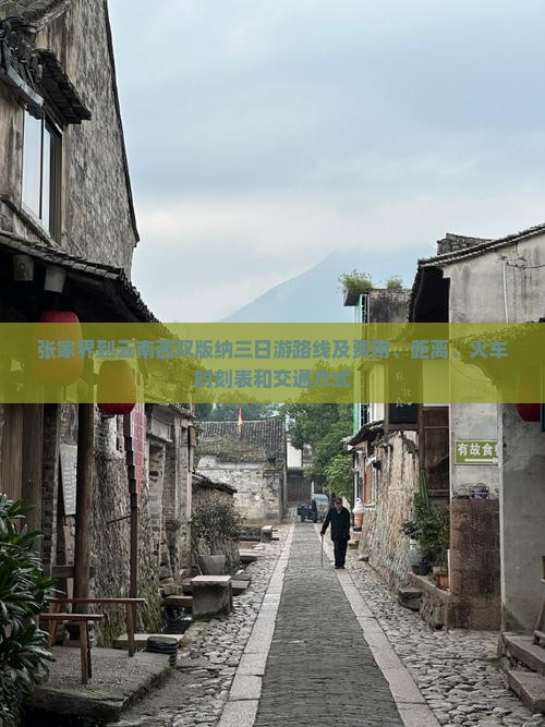 张家界到云南西双版纳三日游