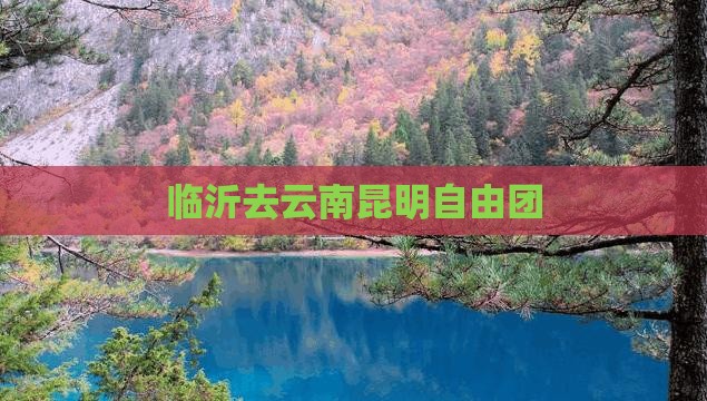 临沂去云南昆明自由团