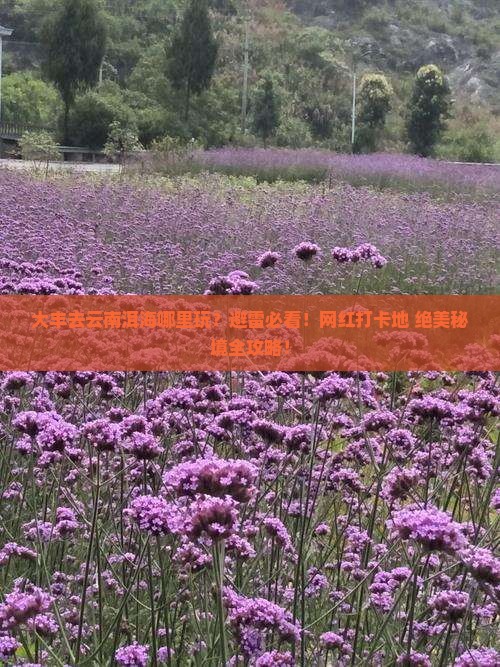 大丰去云南洱海哪里玩