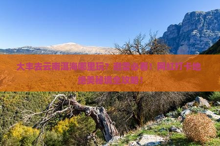 大丰去云南洱海哪里玩