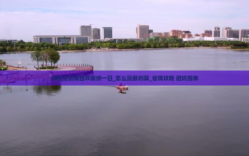南昌去云南西双版纳一日