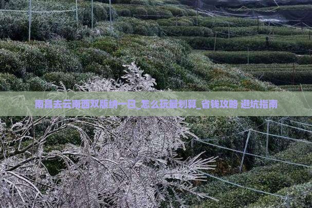 南昌去云南西双版纳一日