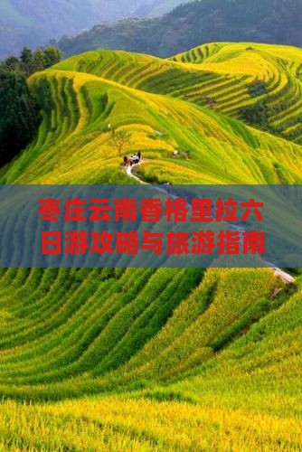 枣庄去云南香格里拉六日游