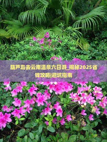 葫芦岛去云南温泉六日游