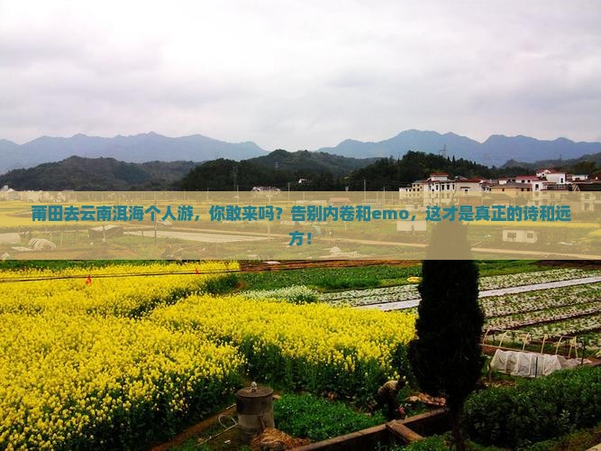 莆田去云南洱海个人游