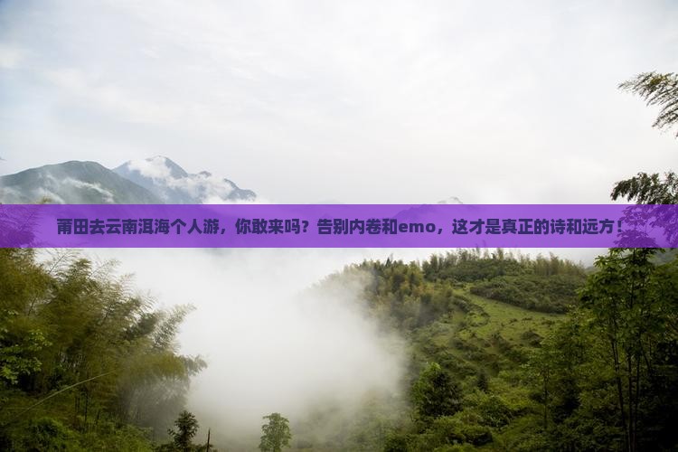 莆田去云南洱海个人游