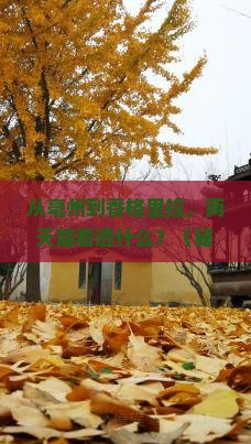 亳州去云南香格里拉二日游
