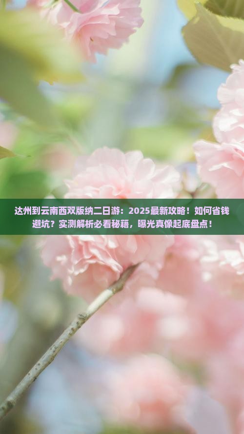 达州到云南西双版纳二日游