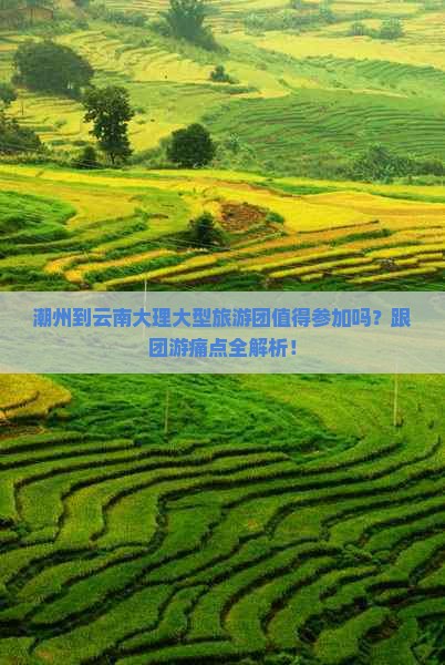 潮州到云南大理大型旅游团