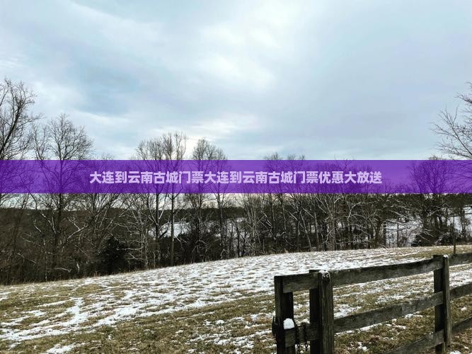 大连到云南古城门票