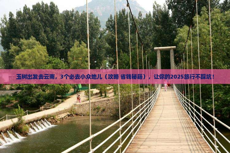 玉树去云南哪里玩