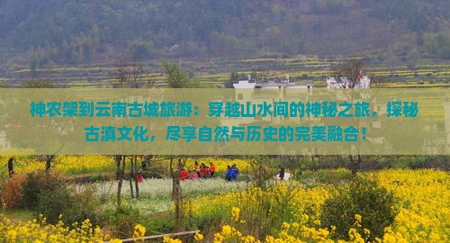 神农架到云南古城旅游