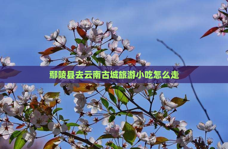 鄢陵县去云南古城旅游小吃