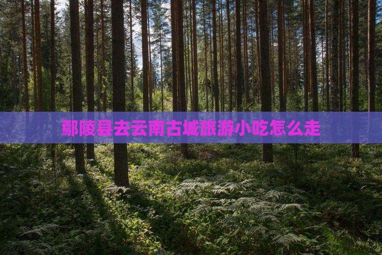 鄢陵县去云南古城旅游小吃