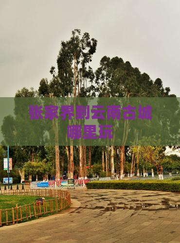 张家界到云南古城哪里玩