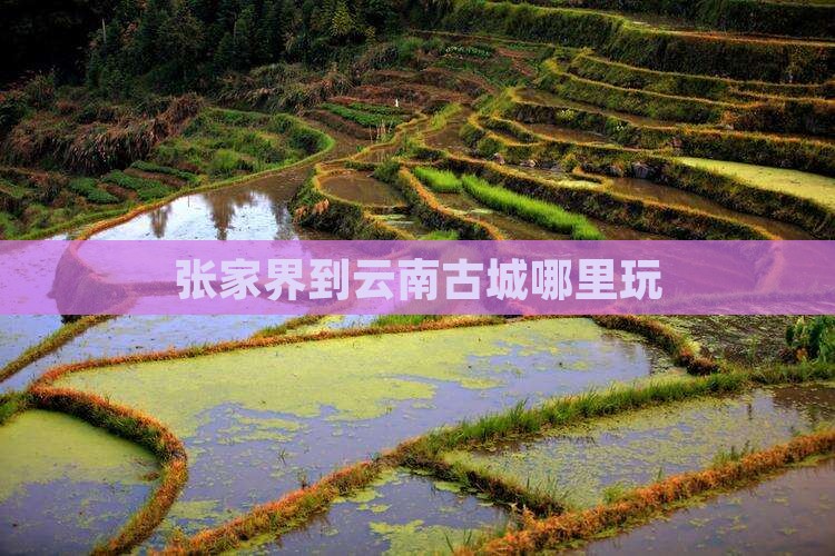 张家界到云南古城哪里玩