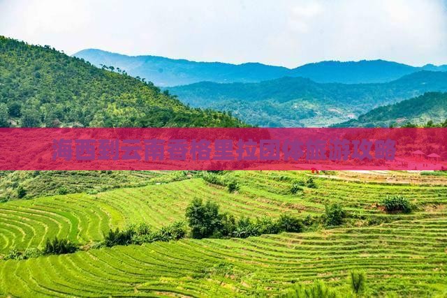 海西到云南香格里拉团体旅游