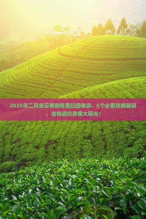二月到云南香格里拉团体旅游