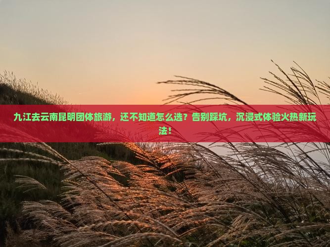 九江去云南昆明团体旅游