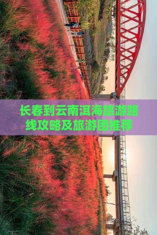 长春到云南洱海旅游路线攻略及旅游团推荐