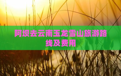 阿坝去云南玉龙雪山旅游
