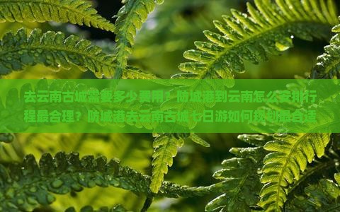 防城港去云南古城七日游