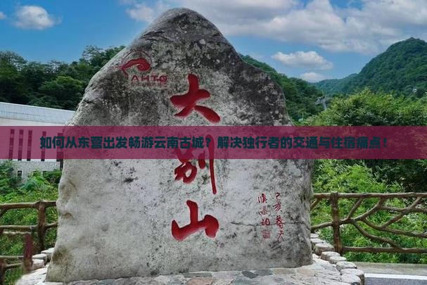 东营去云南古城个人游
