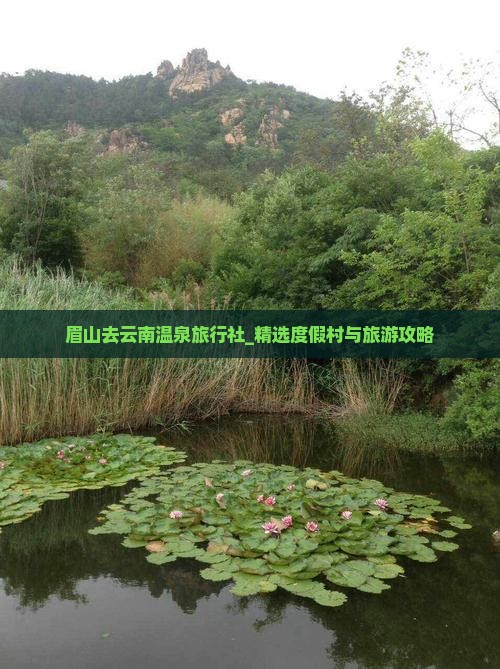 眉山去云南温泉旅行社