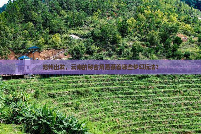 池州去云南哪里玩