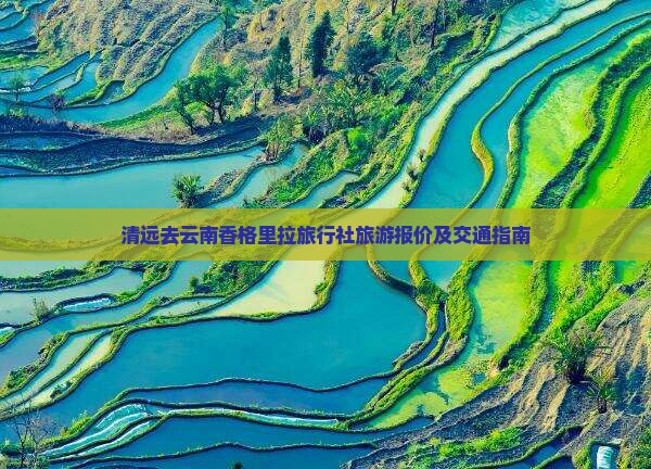 清远去云南香格里拉旅行社