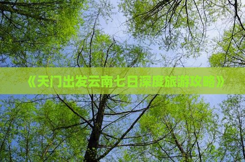 天门到云南七日游