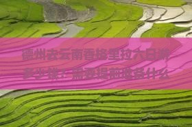 德州去云南香格里拉六日游