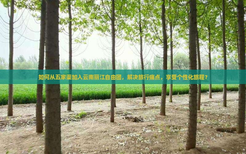 五家渠去云南丽江自由团