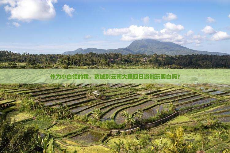 诸城到云南大理四日游