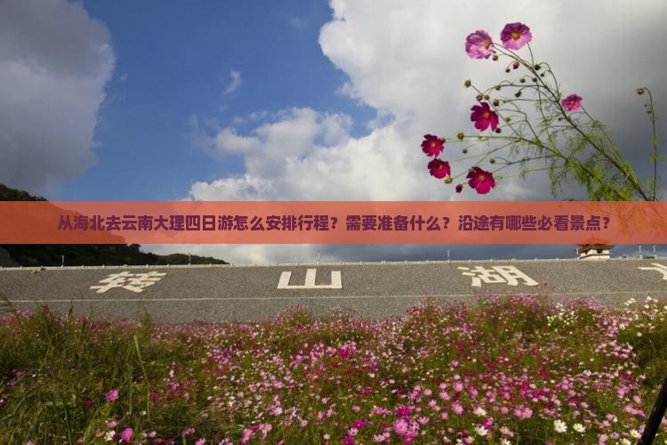 海北去云南大理四日游