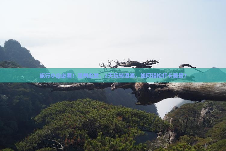 温州去云南洱海二日游