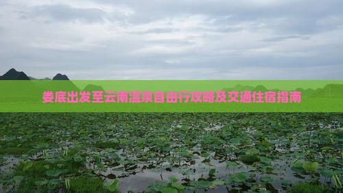 娄底去云南温泉自由行