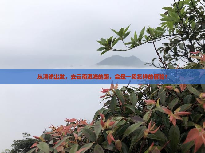 清徐到云南洱海攻略