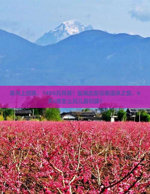 盐城去云南温泉六日游