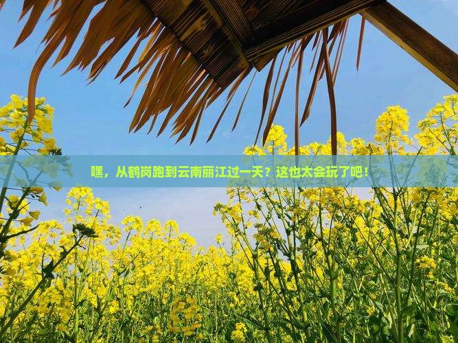 鹤岗去云南丽江一日