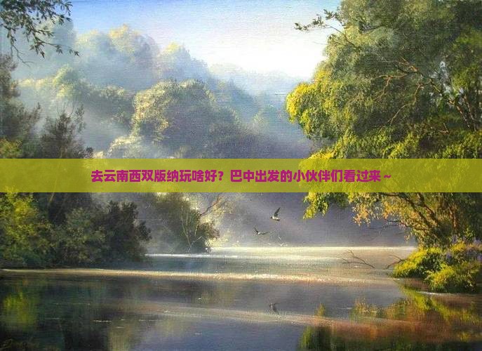 巴中去云南西双版纳哪里玩