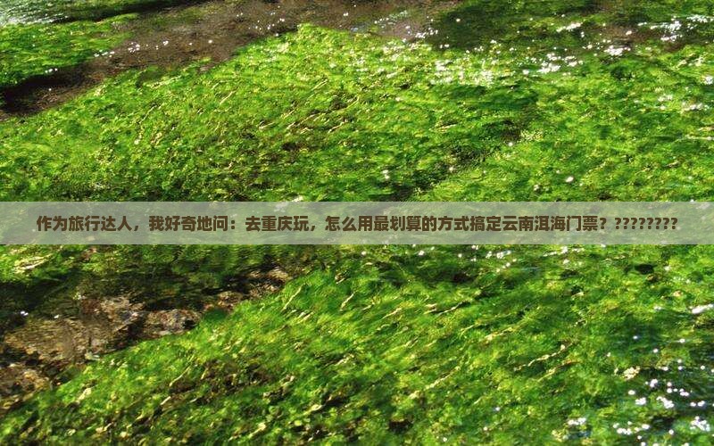 重庆去云南洱海门票