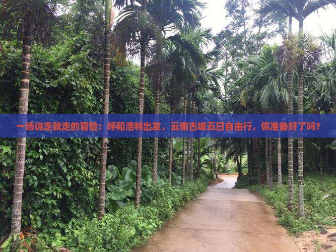 呼和浩特去云南古城五日游