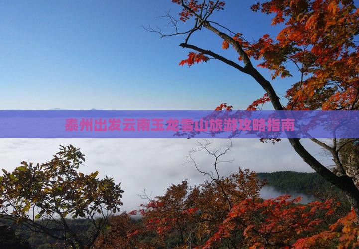 泰州到云南玉龙雪山个人游