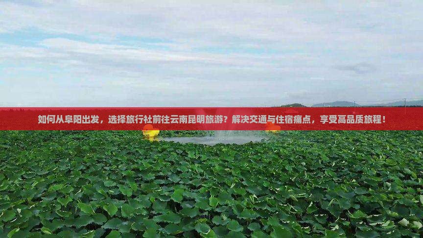 阜阳到云南昆明旅行社
