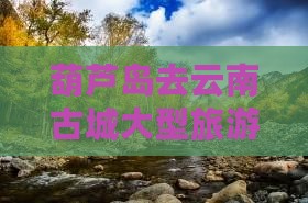 葫芦岛去云南古城大型旅游团