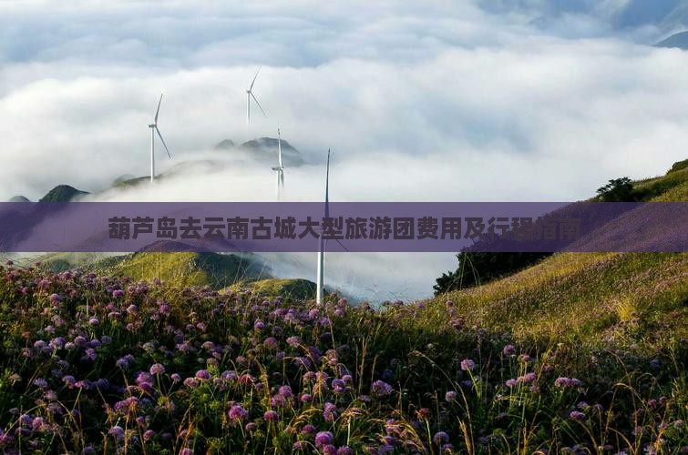葫芦岛去云南古城大型旅游团