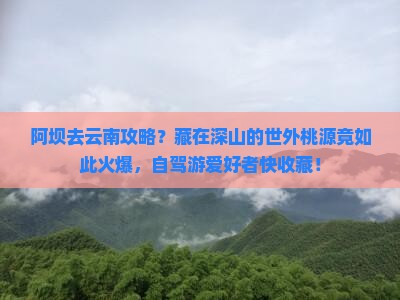 阿坝去云南攻略